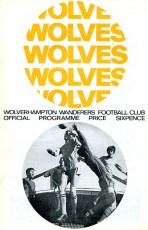 Wolverhampton Wanderers v Leicester City