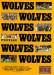Wolverhampton Wanderers v Cardiff City