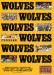 Wolverhampton Wanderers v Darlington