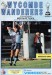 Wycombe Wanderers v Merthyr Tydfil