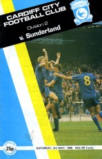Cardiff City v Sunderland