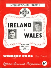 Northern Ireland v Wales