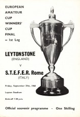 Leytonstone v STEFER