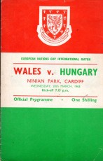 Wales v Hungary