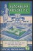 Blackburn Rovers v Stoke City