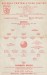 Arsenal v Plymouth Argyle