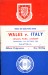 Wales v Italy