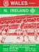 Wales v Northern Ireland
