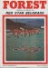 Nottingham Forest v Red Star Belgrade