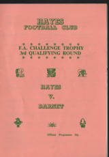 Hayes v Barnet