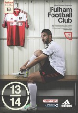Fulham v Tottenham Hotspur