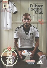 Fulham v Manchester City