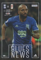 Birmingham City v Fulham