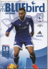 Cardiff City v Fulham