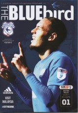 Cardiff City v Aston Villa
