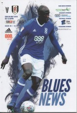 Birmingham City v Fulham