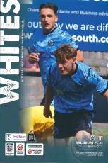 Salisbury City v Bath City