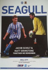 Brighton & Hove Albion v Hull City