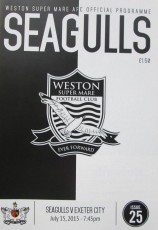 Weston Super Mare v Exeter City