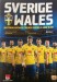 Sweden v Wales