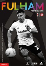 Fulham v Bristol City