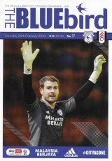Cardiff City v Fulham