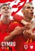 Wales v Poland