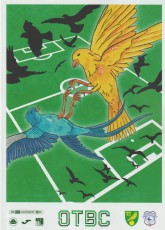 Norwich City v Cardiff City