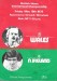 Wales v Northern Ireland
