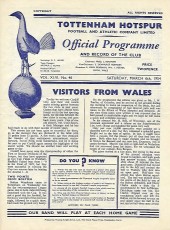 Tottenham Hotspur v Cardiff City