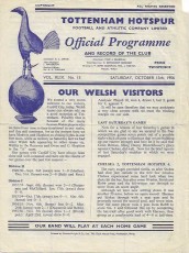 Tottenham Hotspur v Cardiff City
