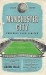 Manchester City v Aston Villa