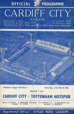 Cardiff City v Tottenham Hotspur