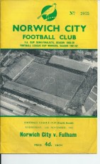 Norwich City v Fulham