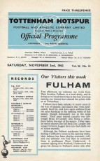Tottenham Hotspur v Fulham