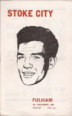 Stoke City v Fulham