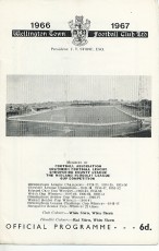 Wellington Town v Wimbledon