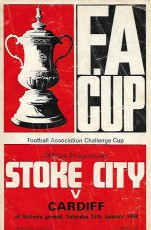 Stoke City v Cardiff City