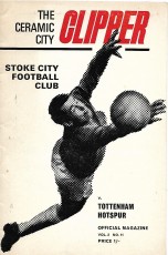Stoke City v Tottenham Hotspur