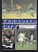Leicester City v Everton