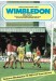 Wimbledon v Millwall