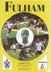 Fulham v Cardiff City