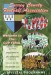 Kingstonian v AFC Wimbledon