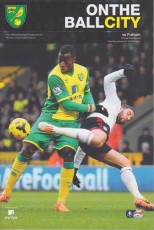 Norwich City v Fulham