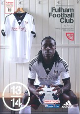 Fulham v Everton