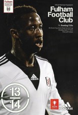 Fulham v Bristol City