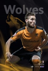 Wolverhampton Wanderers v Fulham