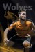 Wolverhampton Wanderers v Fulham