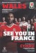 Wales v Northern Ireland