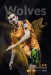 Wolverhampton Wanderers v Rotherham United